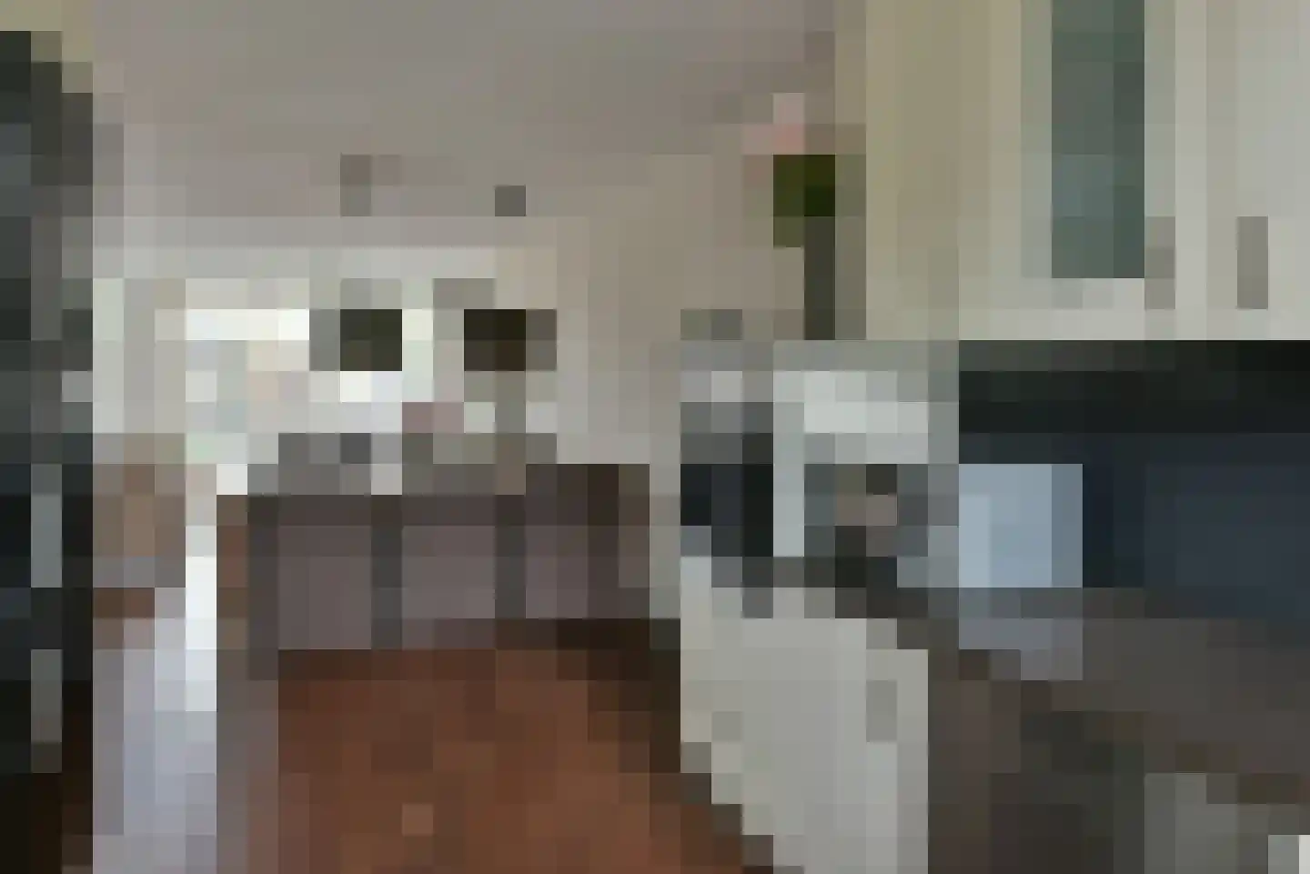 Elzenhof 12 Vinkeveen thumbnail 10