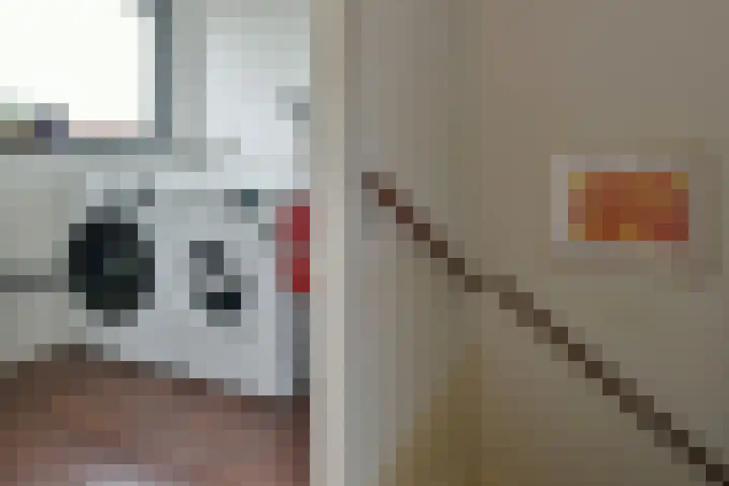 Elzenhof 12 Vinkeveen thumbnail 16