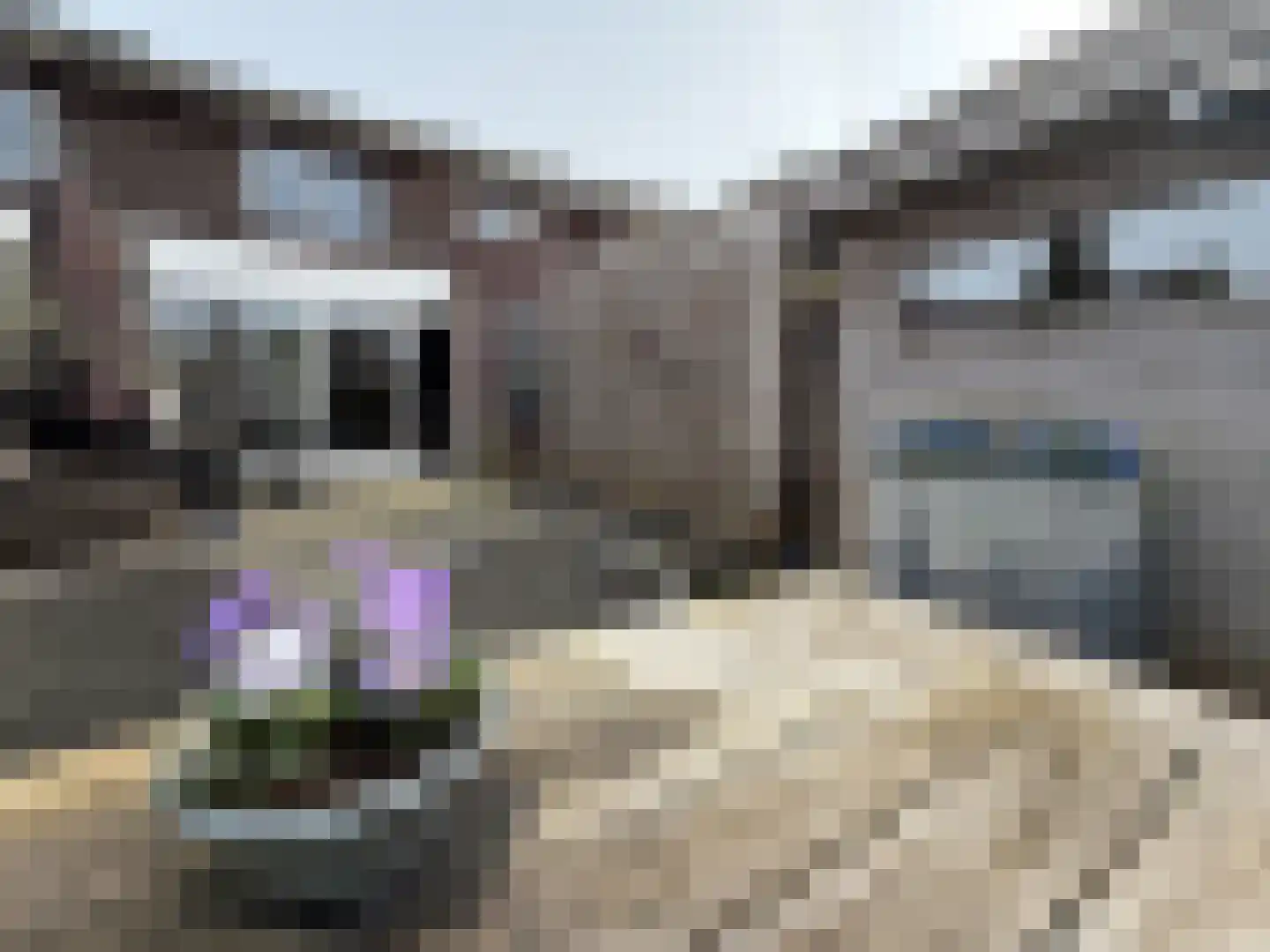 Elzenhof 12 Vinkeveen thumbnail 20