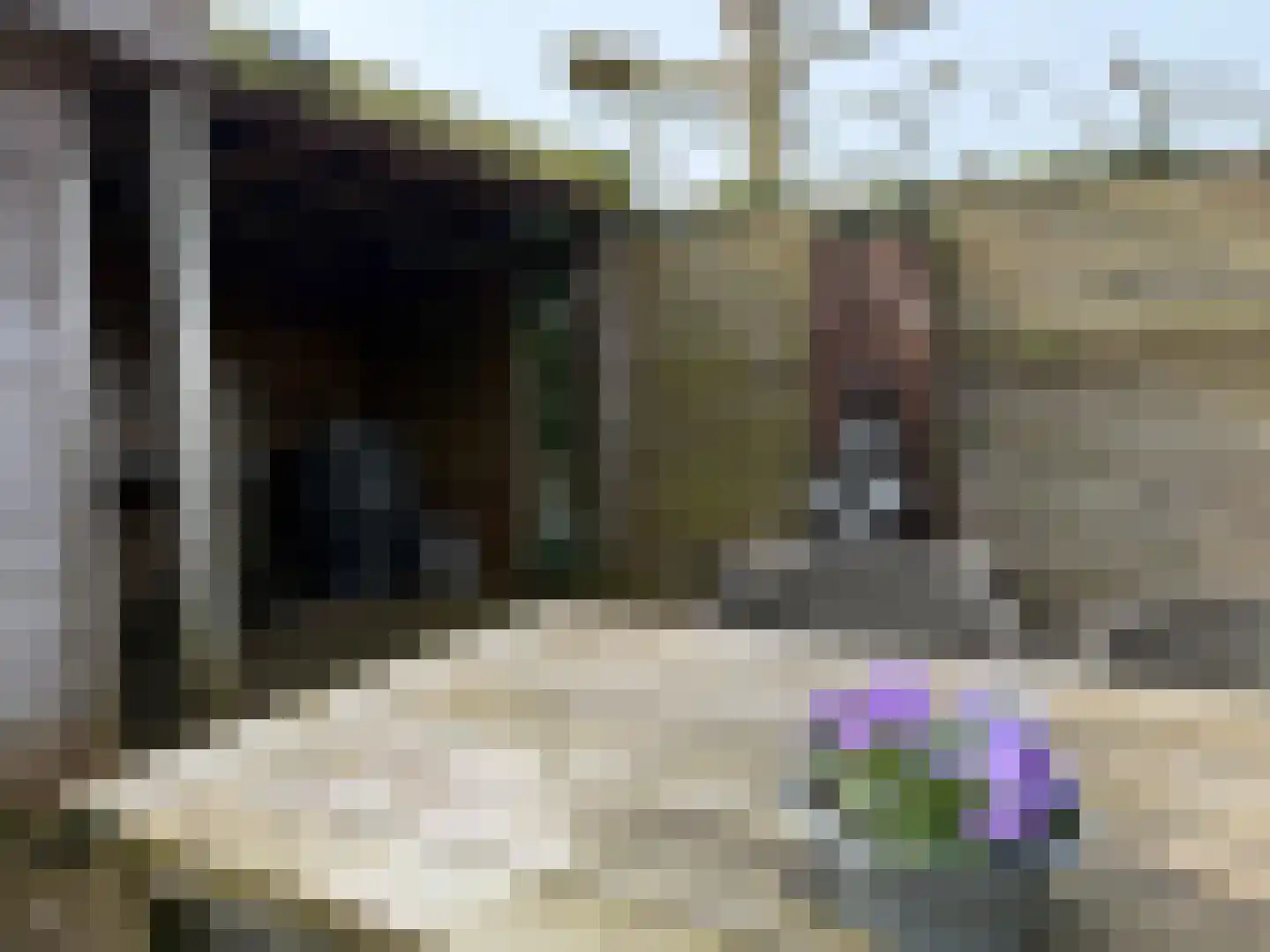Elzenhof 12 Vinkeveen thumbnail 22