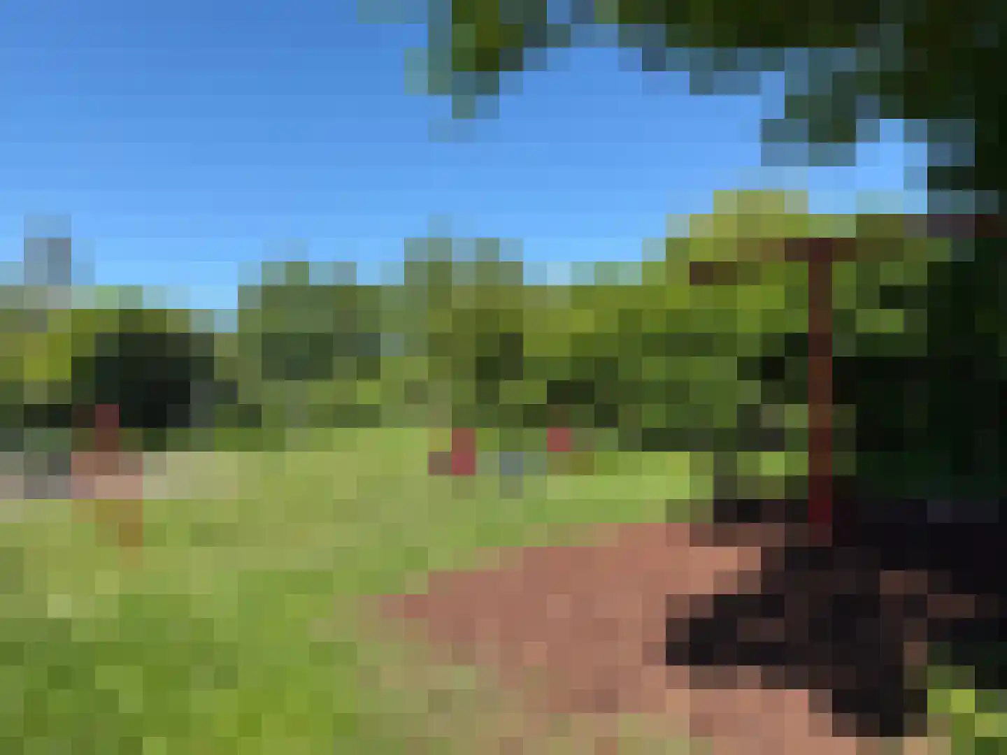 Elzenhof 12 Vinkeveen thumbnail 25