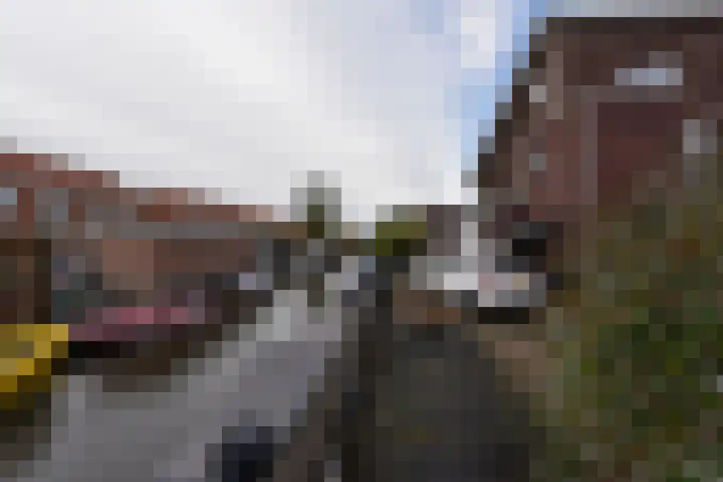 Elzenhof 12 Vinkeveen thumbnail 26
