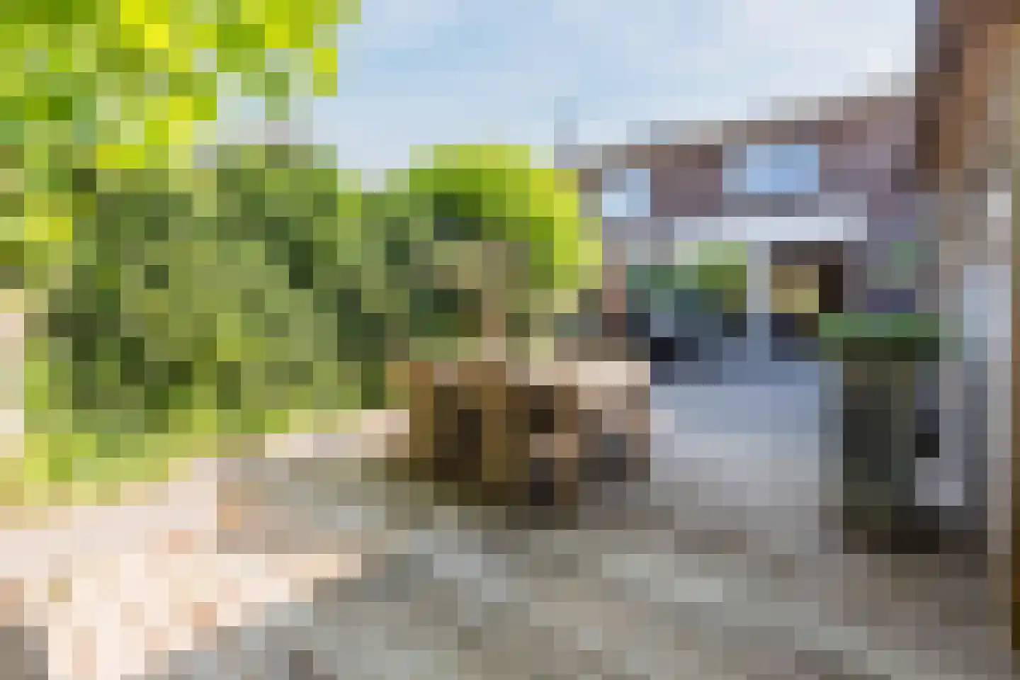 Elzenhof 12 Vinkeveen thumbnail 29