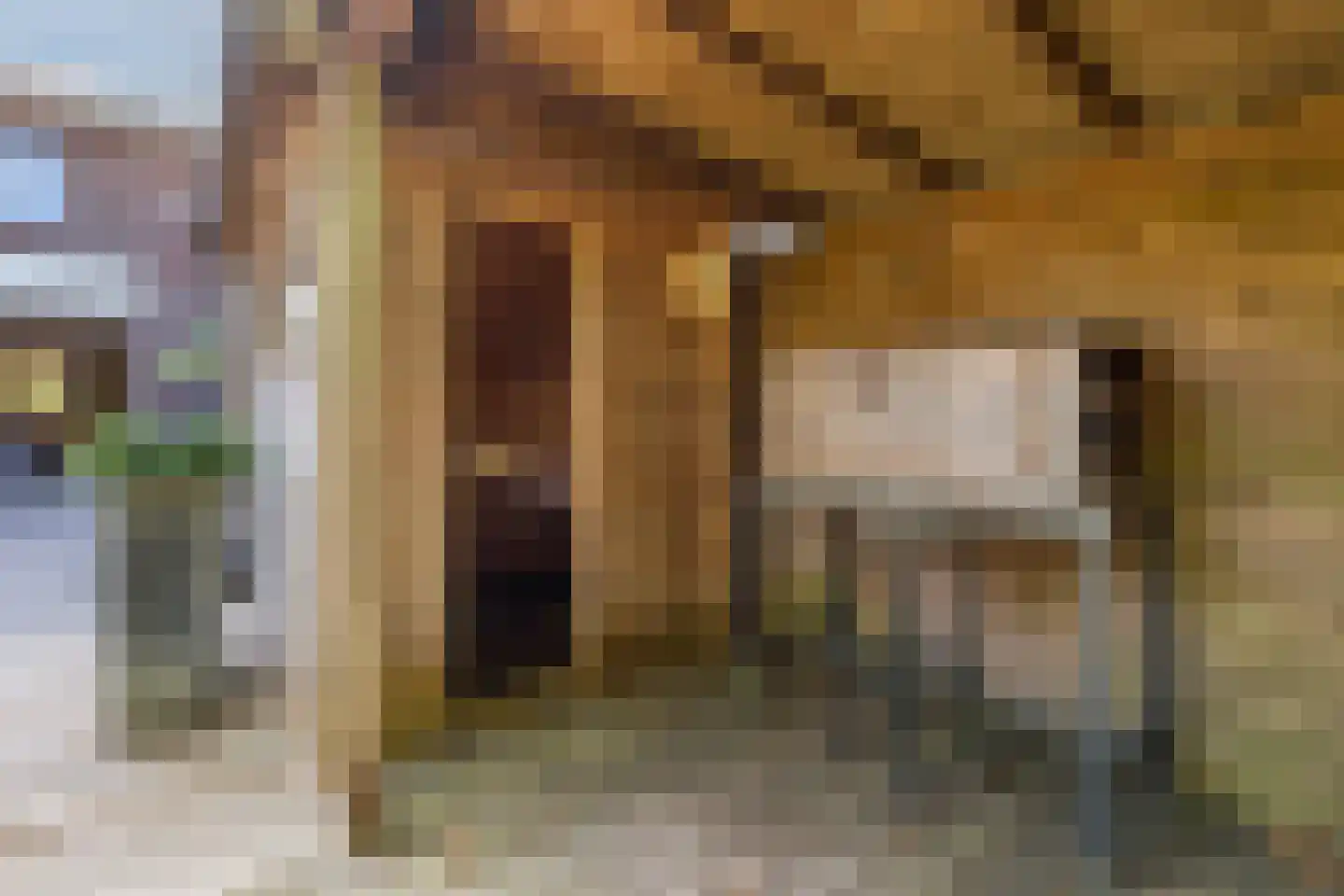 Elzenhof 12 Vinkeveen thumbnail 30