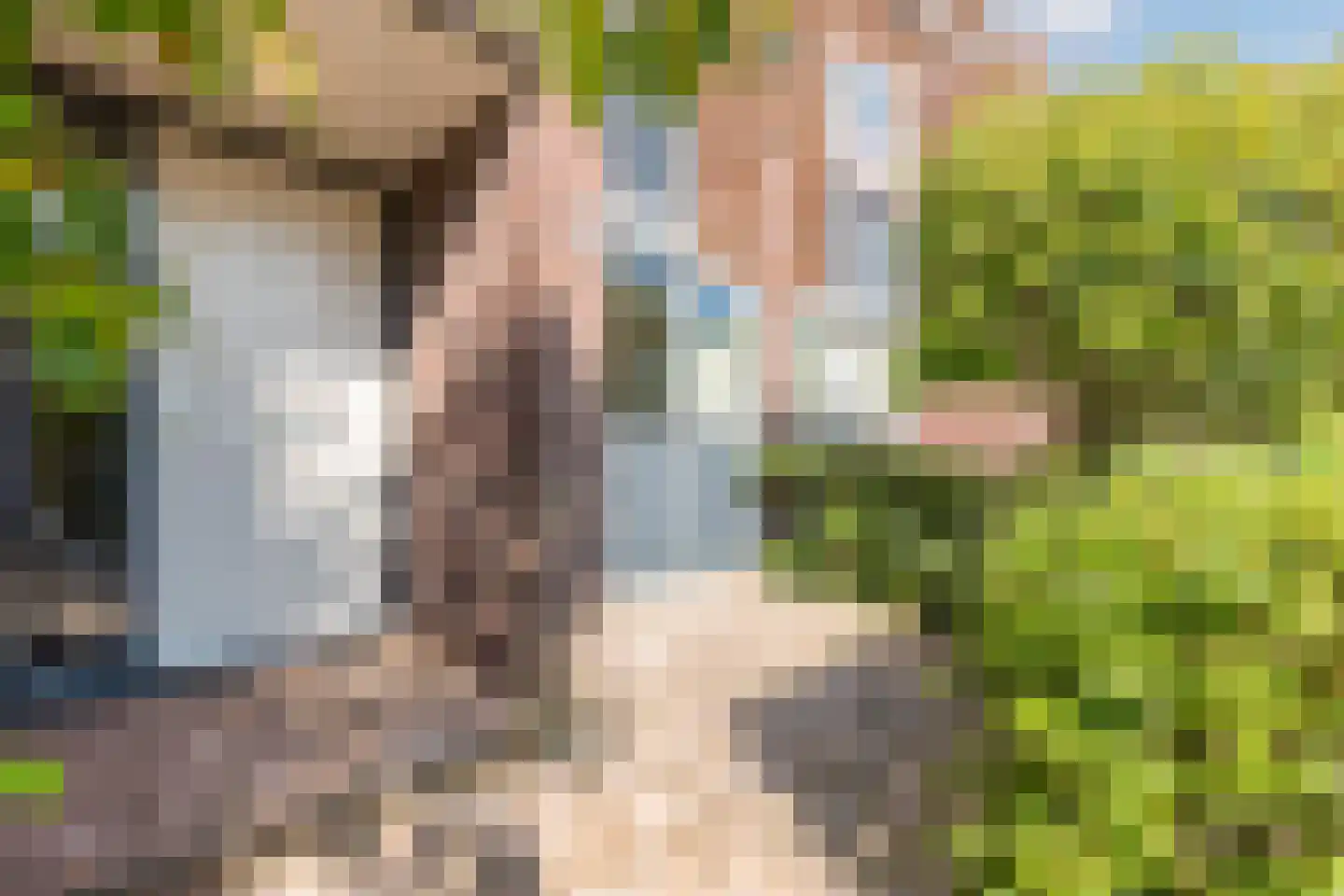 Elzenhof 12 Vinkeveen thumbnail 32