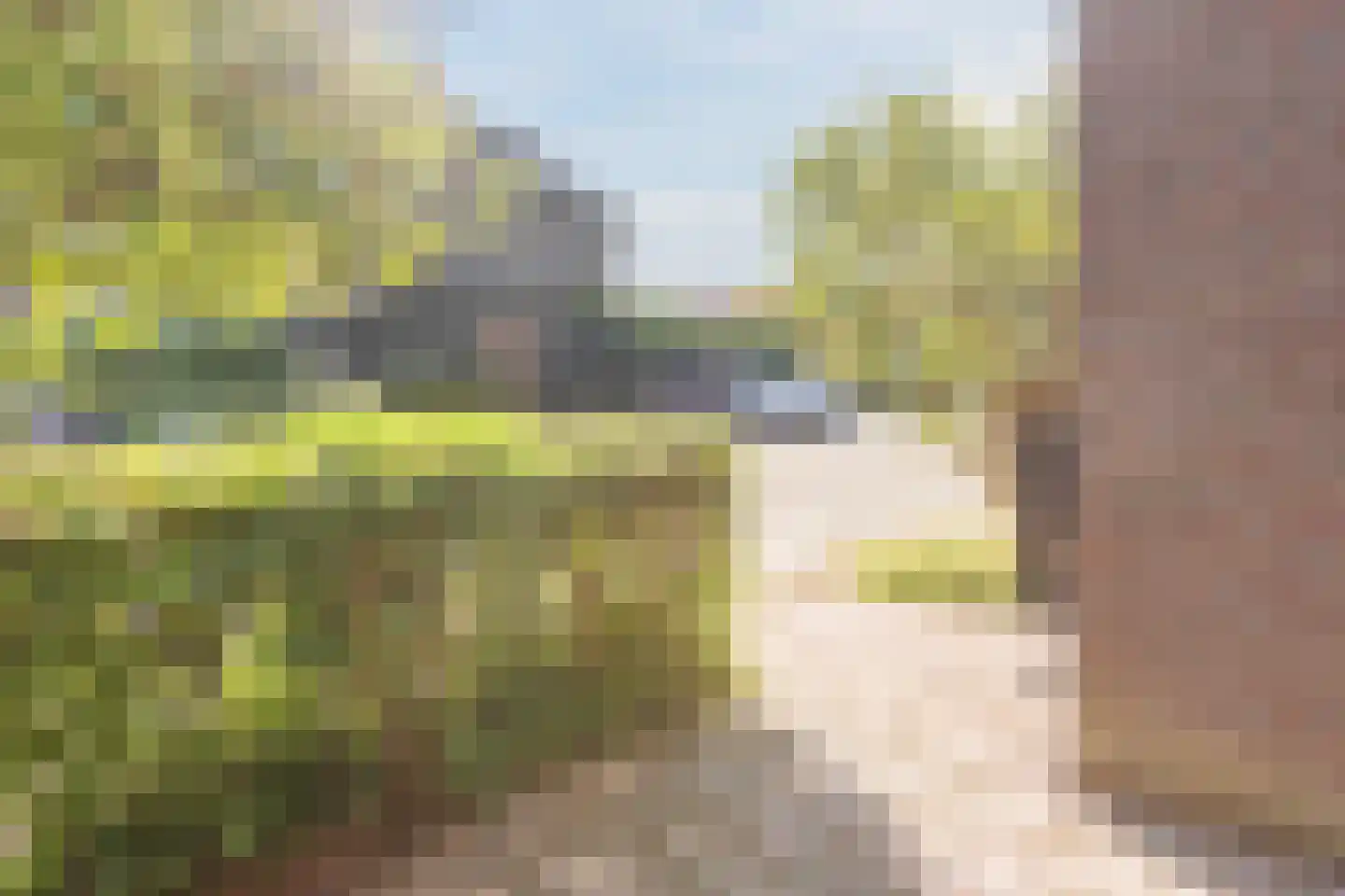 Elzenhof 12 Vinkeveen thumbnail 33