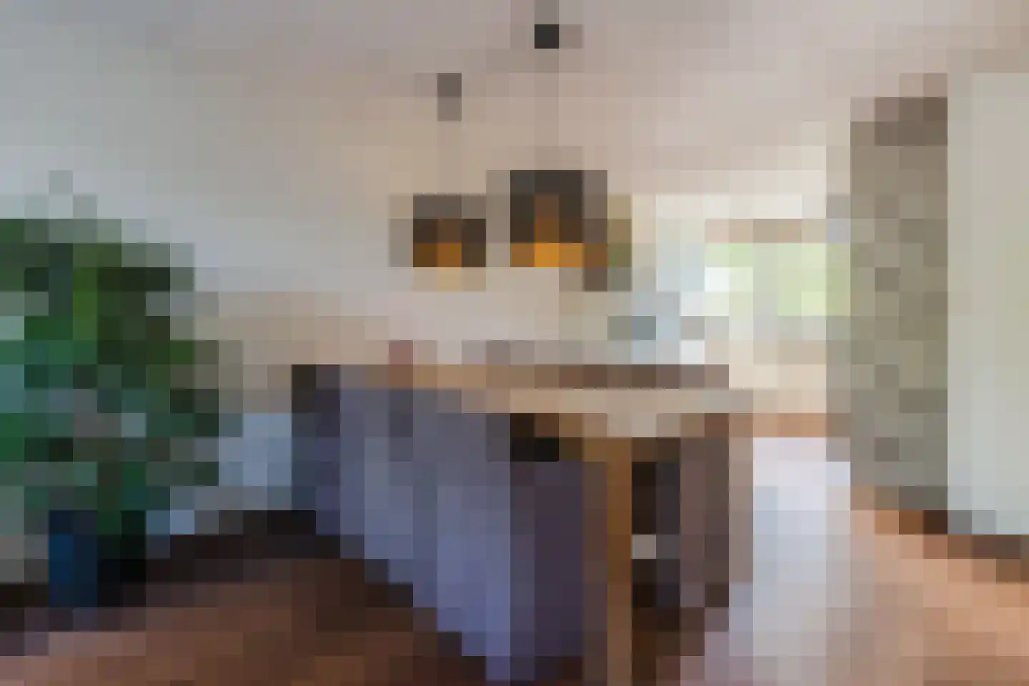 Elzenhof 12 Vinkeveen thumbnail 8