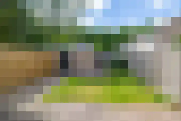 Elzenhof 13 Zuidlaren thumbnail 10
