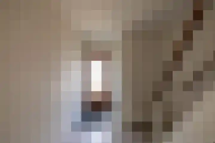 Elzenhof 13 Zuidlaren thumbnail 12