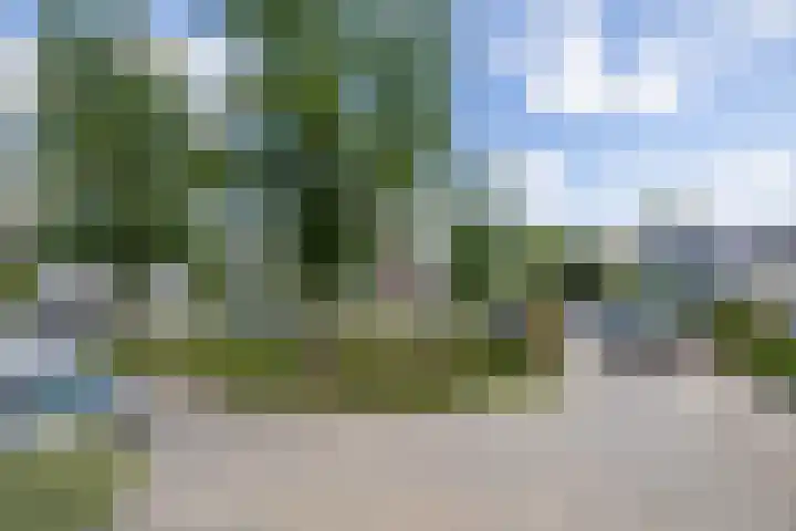 Elzenhof 13 Zuidlaren thumbnail 20