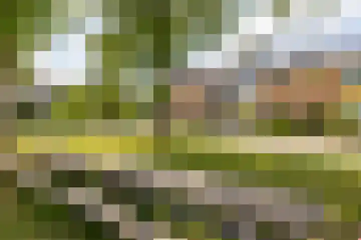 Elzenhof 13 Zuidlaren thumbnail 5