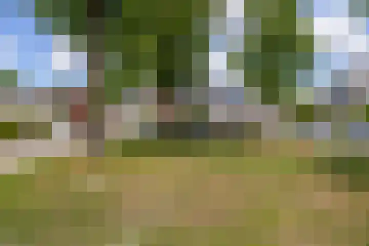 Elzenhof 13 Zuidlaren thumbnail 6