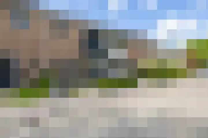 Elzenhof 13 Zuidlaren thumbnail 8