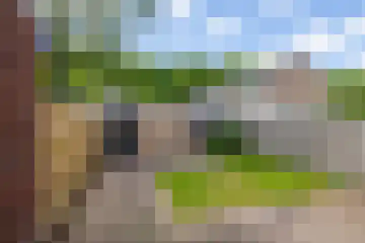 Elzenhof 13 Zuidlaren thumbnail 9