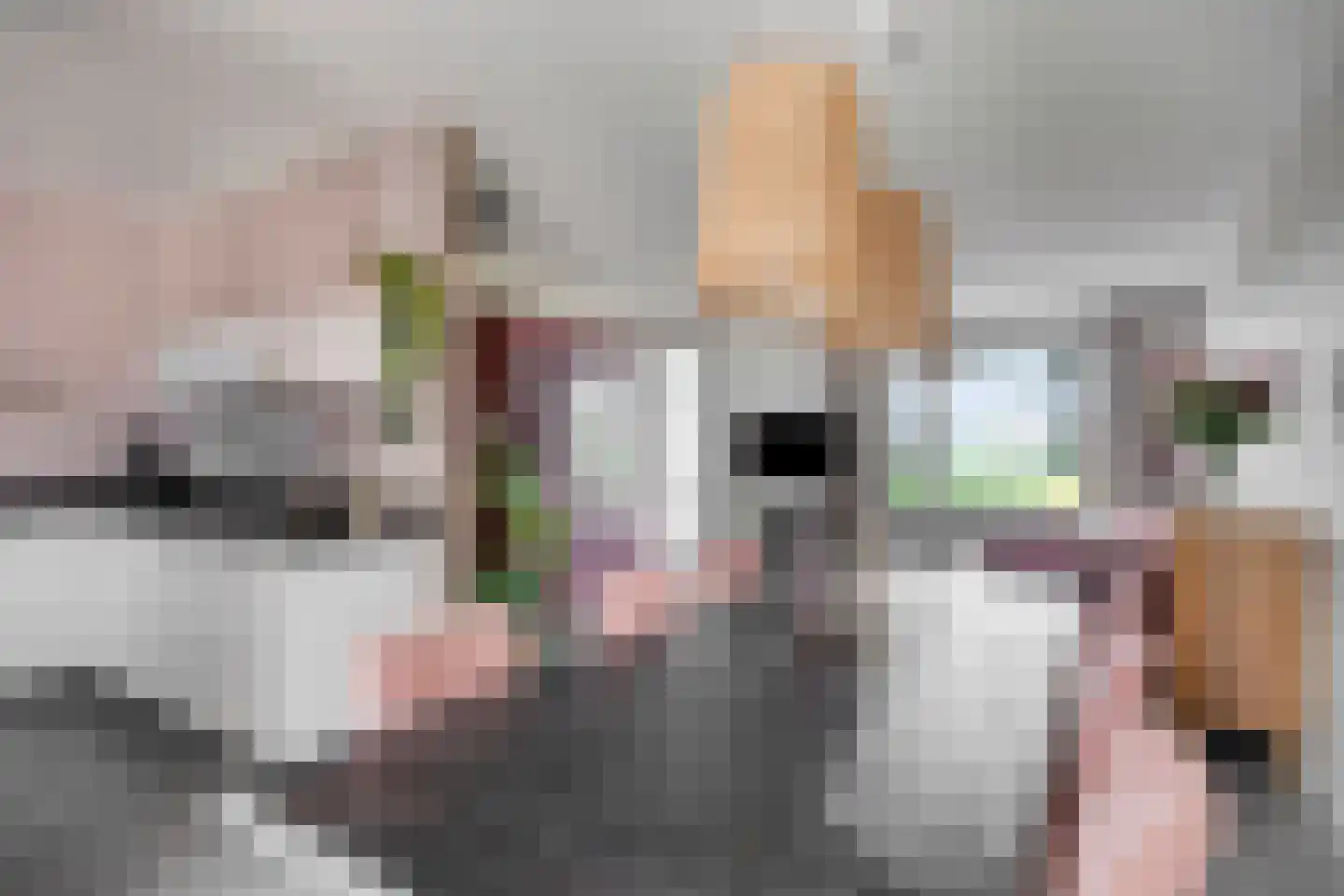 Elzenhof 15 Grashoek thumbnail 16