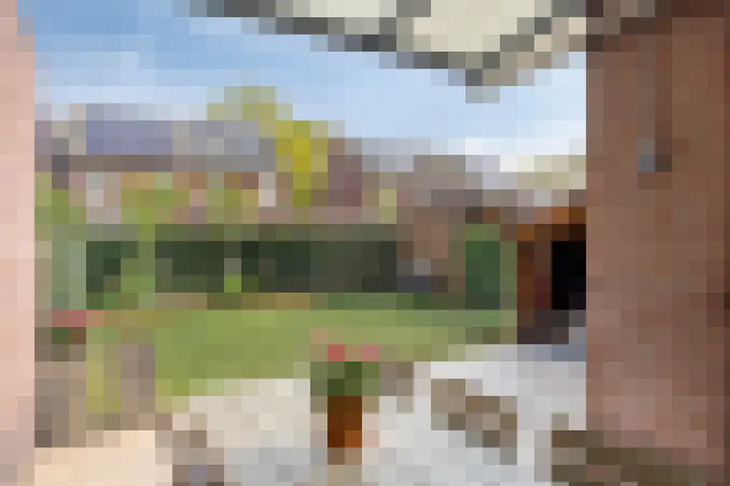 Elzenhof 15 Grashoek thumbnail 38