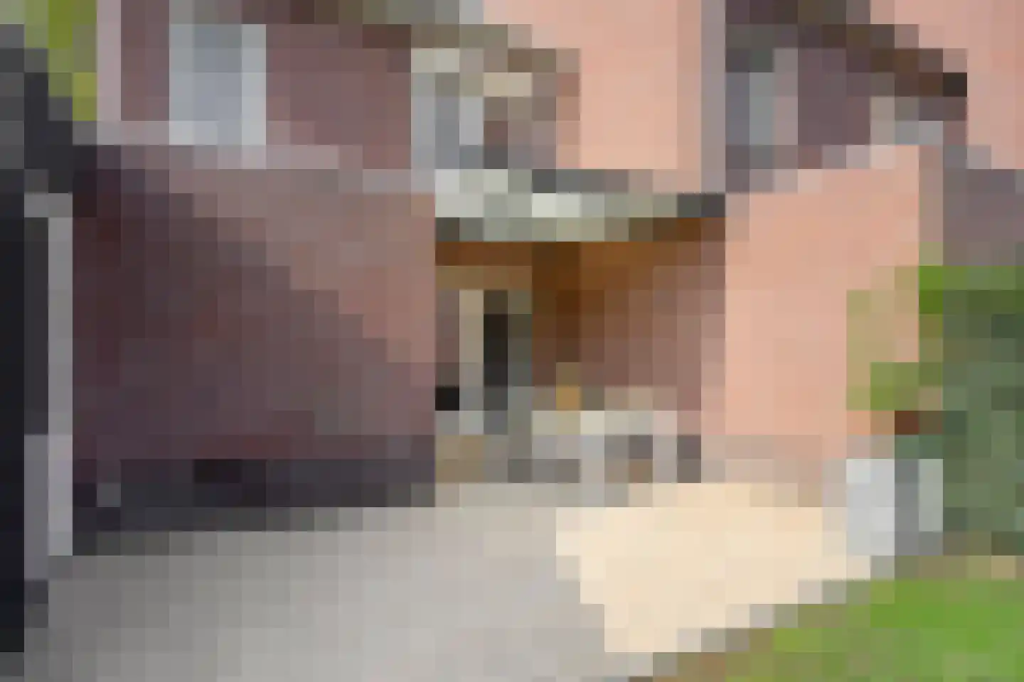 Elzenhof 15 Grashoek thumbnail 42