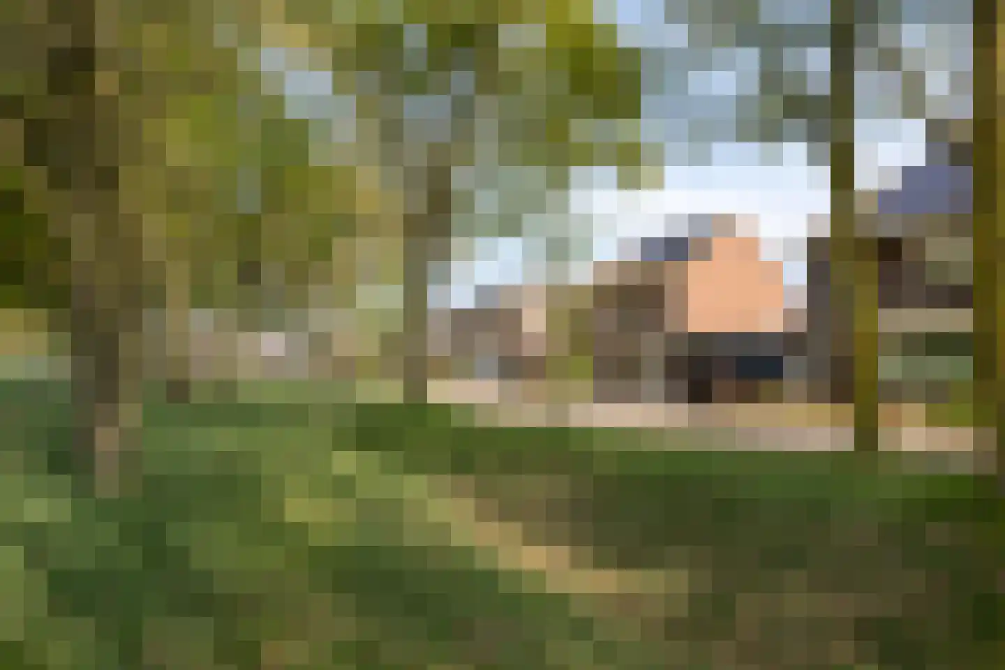 Elzenhof 15 Grashoek thumbnail 47