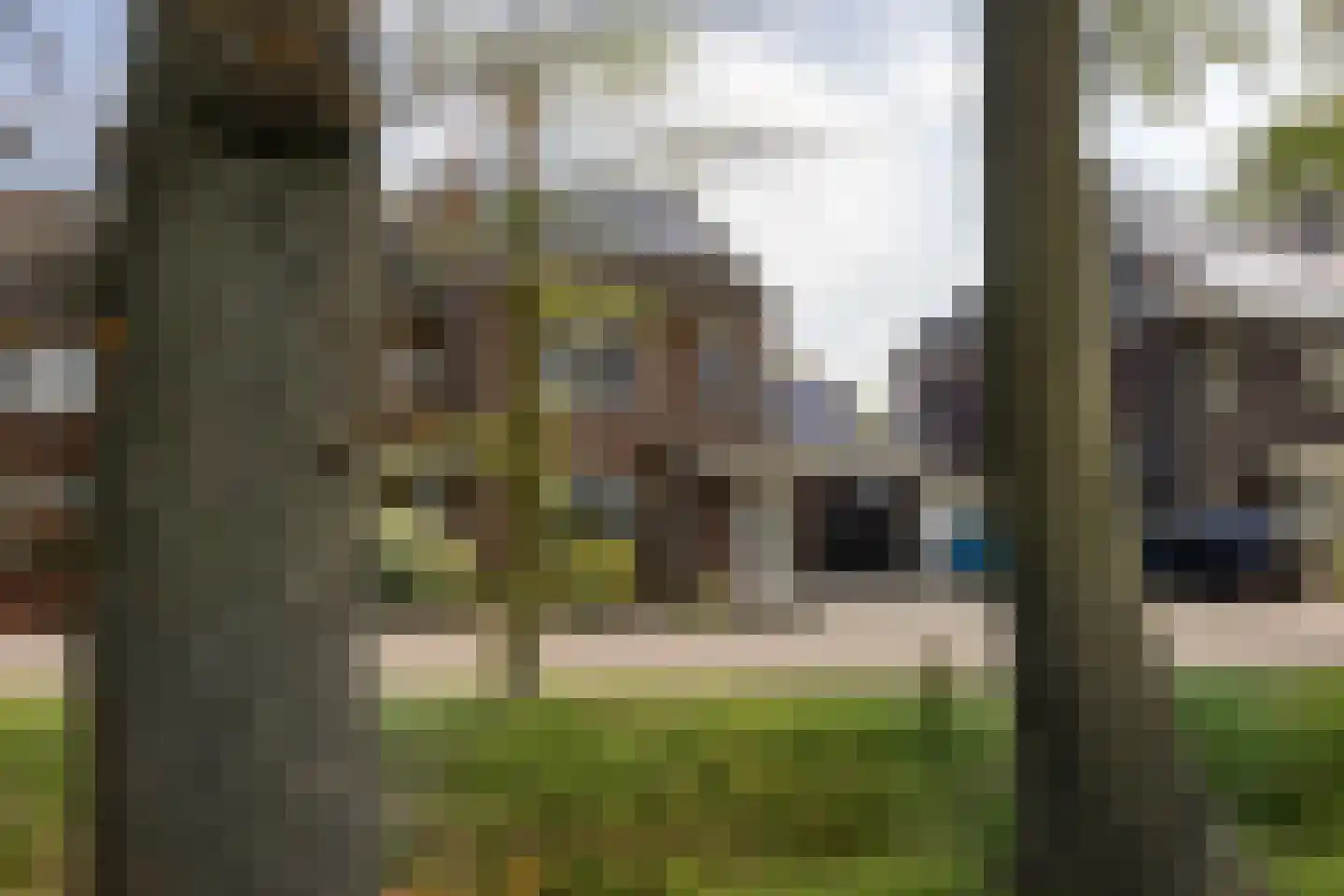 Elzenhof 15 Grashoek thumbnail 48