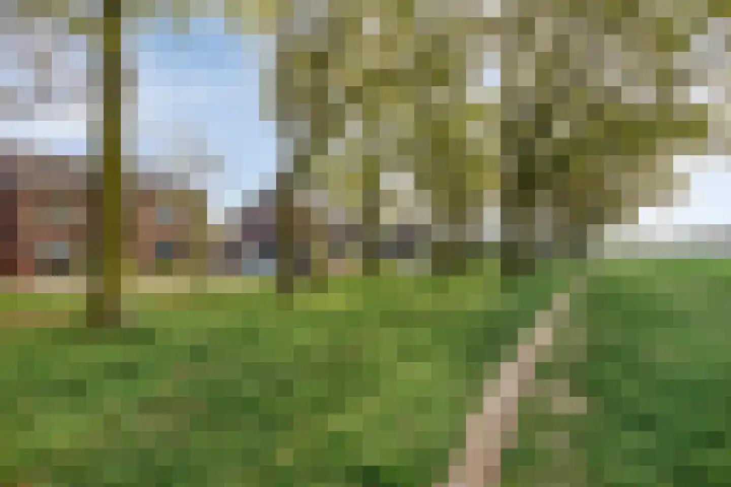 Elzenhof 15 Grashoek thumbnail 49