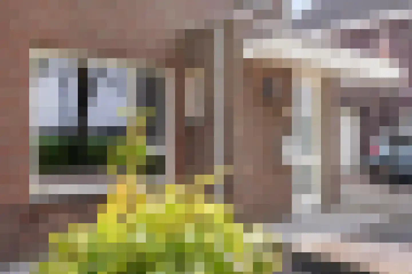 Elzenhof 15 Grashoek thumbnail 5