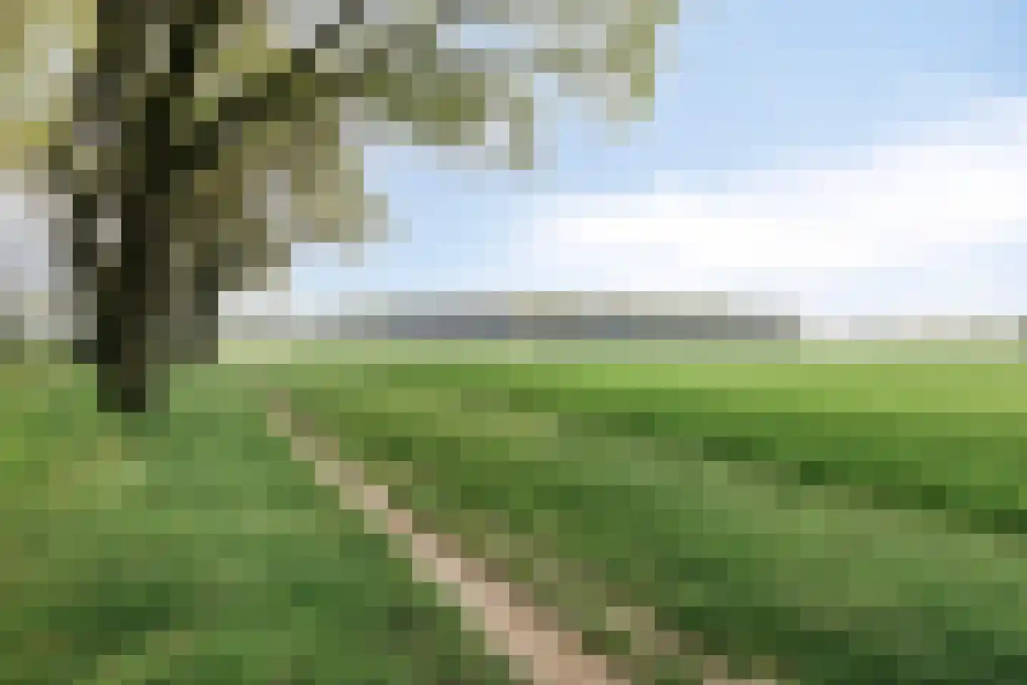 Elzenhof 15 Grashoek thumbnail 50