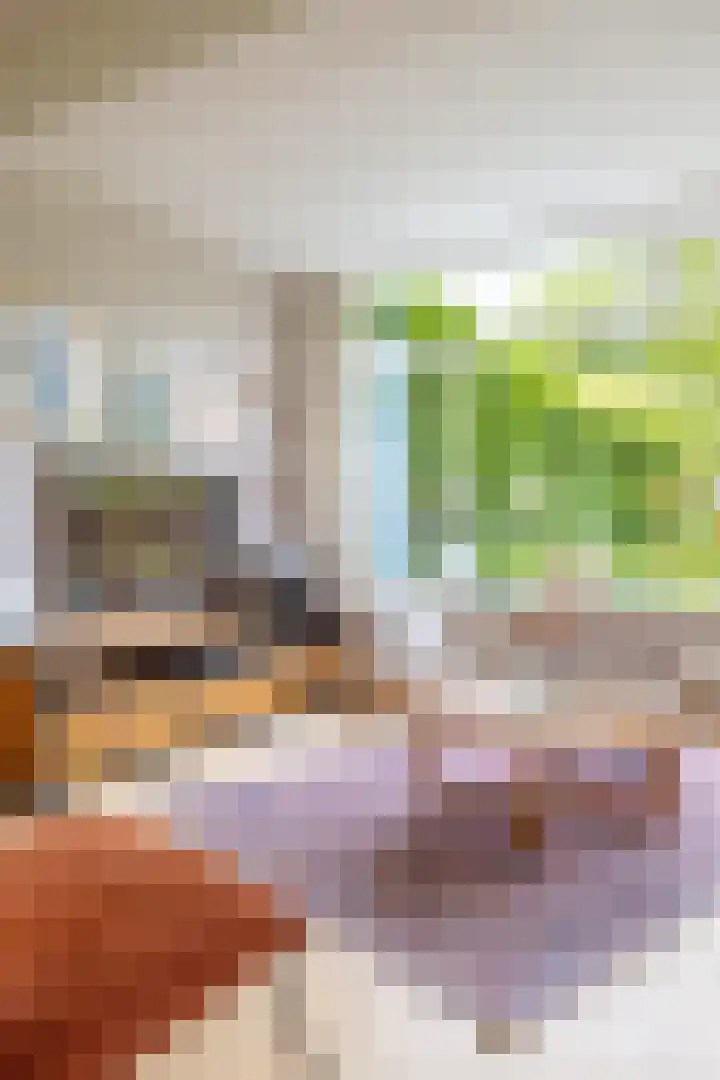 Elzenhof 17 Zuidlaren thumbnail 13