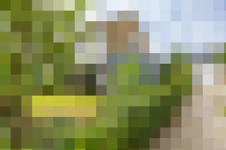 Elzenhof 17 Zuidlaren thumbnail 35