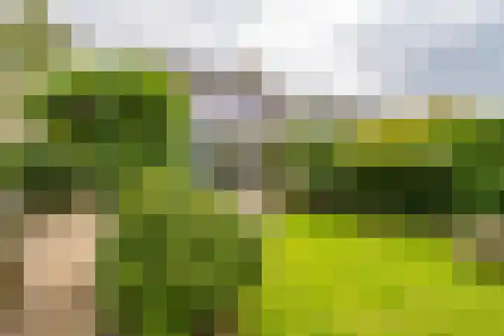 Elzenhof 17 Zuidlaren thumbnail 36
