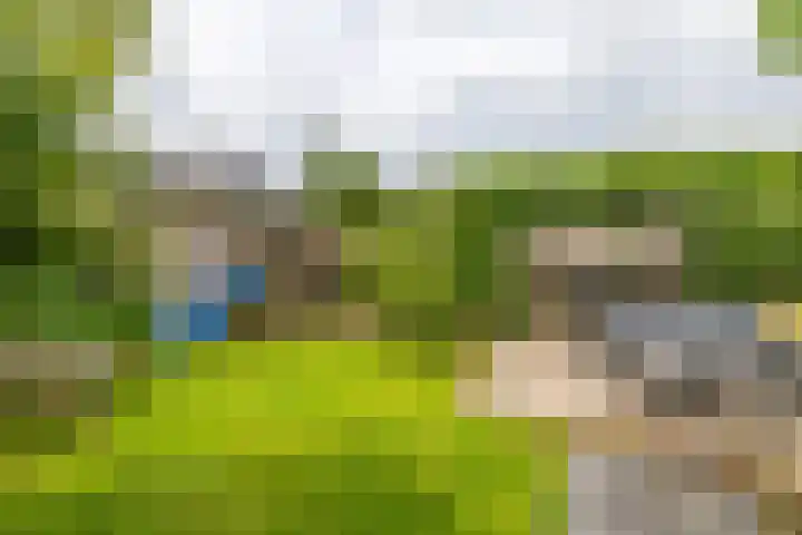 Elzenhof 17 Zuidlaren thumbnail 39
