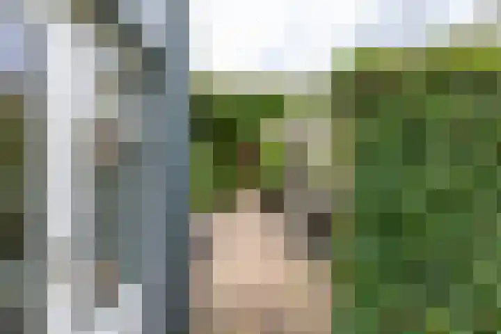 Elzenhof 17 Zuidlaren thumbnail 40