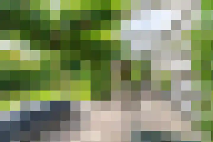 Elzenhof 17 Zuidlaren thumbnail 43