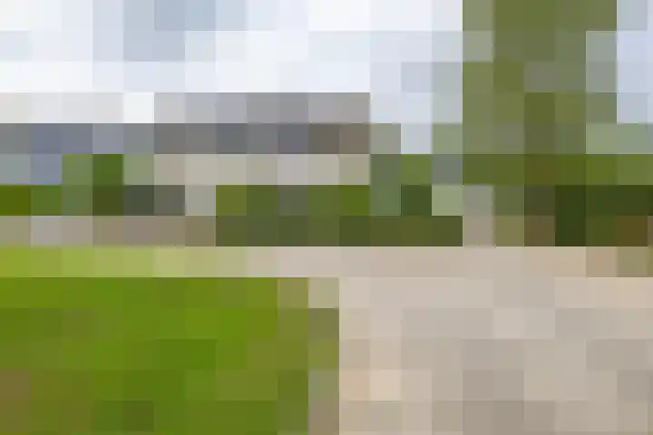 Elzenhof 17 Zuidlaren thumbnail 46