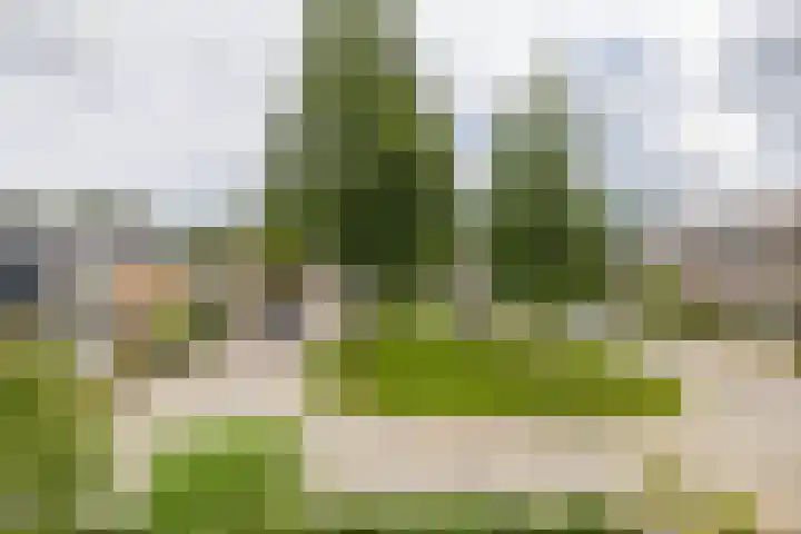Elzenhof 17 Zuidlaren thumbnail 47