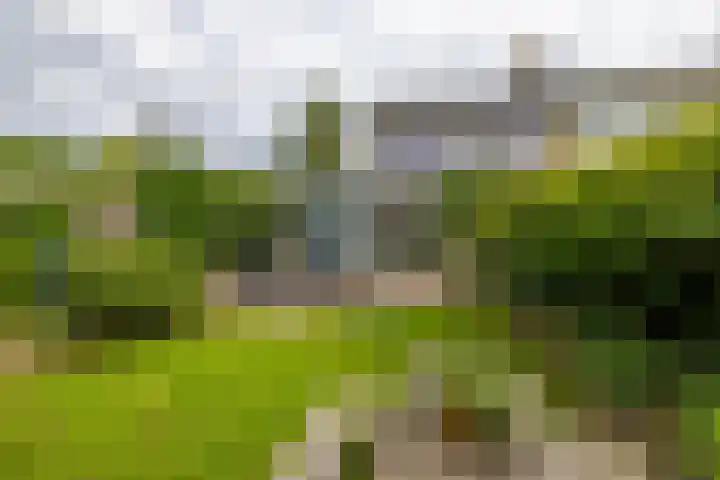 Elzenhof 17 Zuidlaren thumbnail 48
