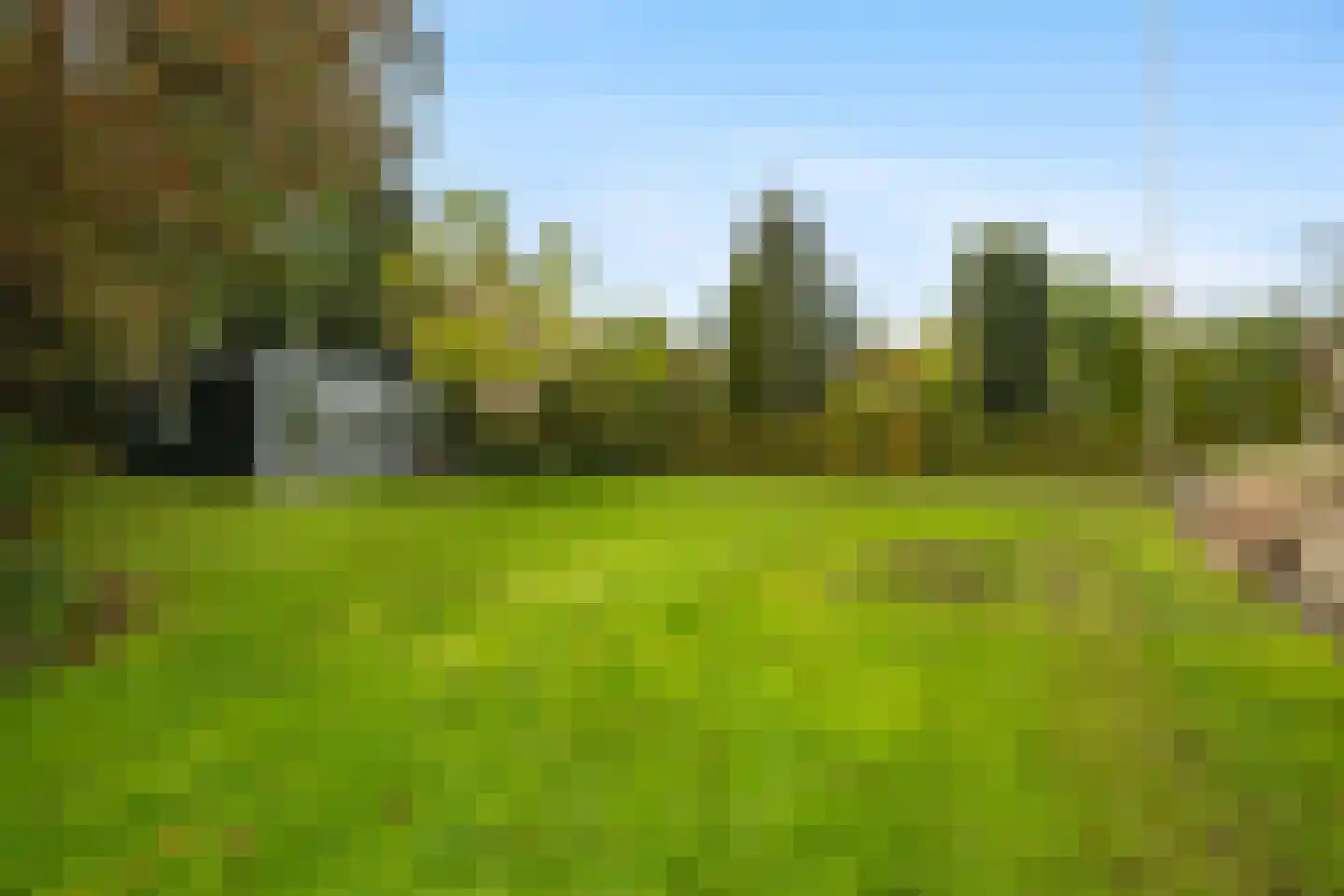 Elzenhof 172 a Sliedrecht thumbnail 11