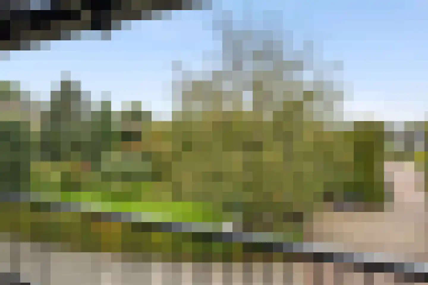 Elzenhof 172 a Sliedrecht thumbnail 43