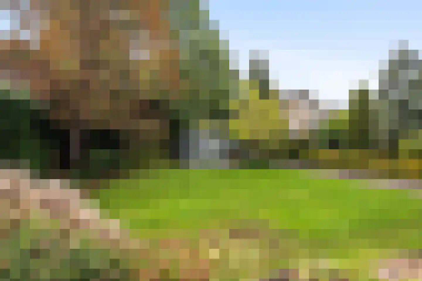 Elzenhof 172 a Sliedrecht thumbnail 55