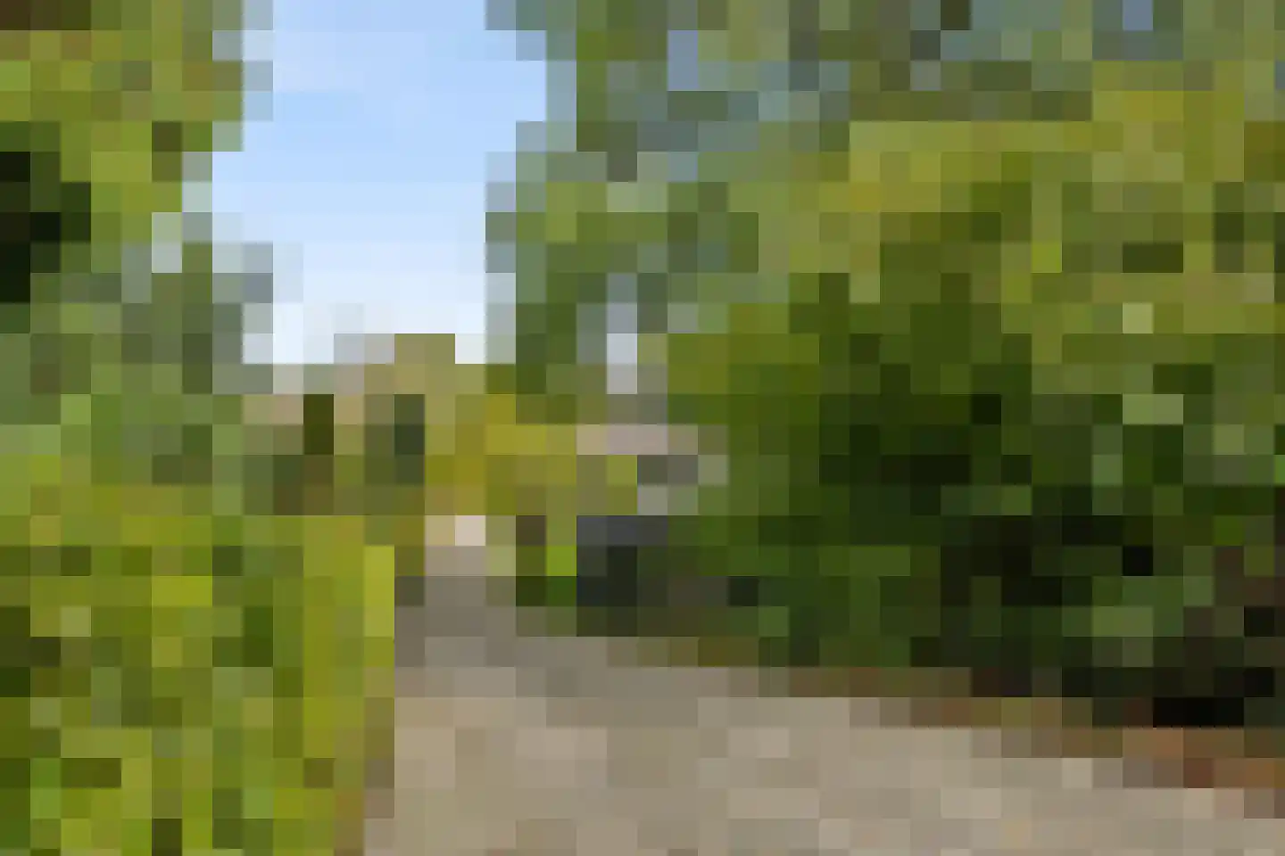 Elzenhof 172 a Sliedrecht thumbnail 63