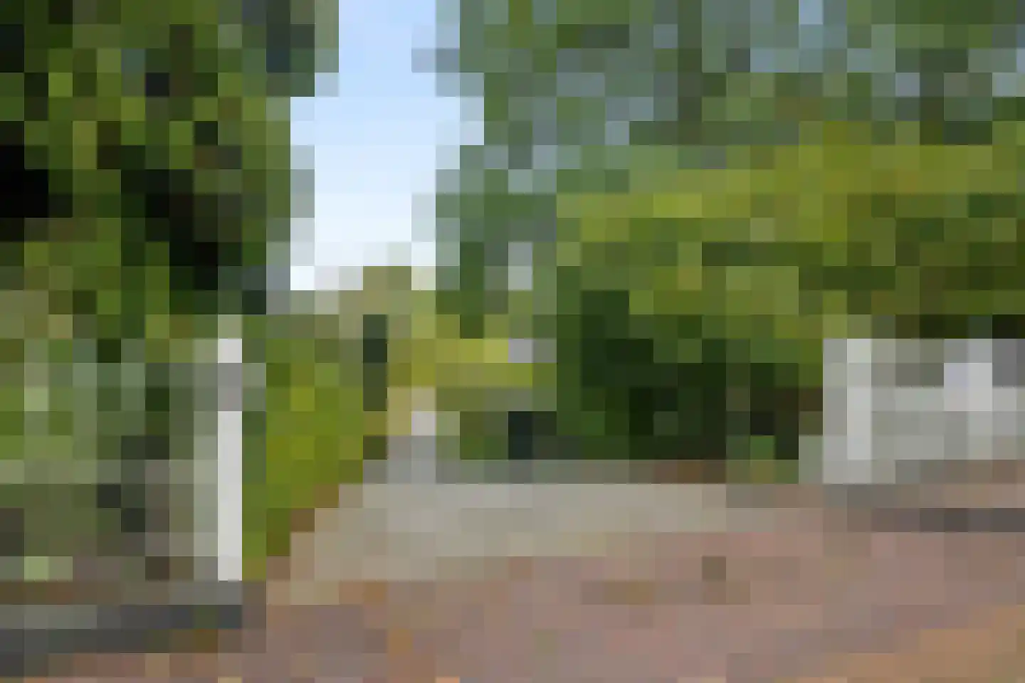 Elzenhof 172 a Sliedrecht thumbnail 66