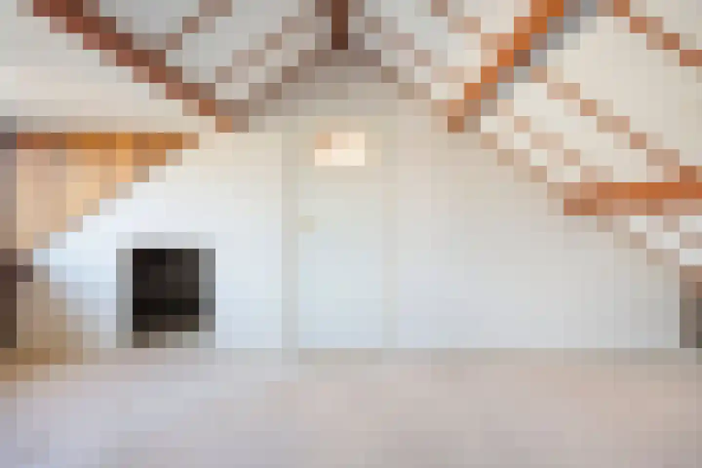 Elzenhof 18 Gouderak thumbnail 27