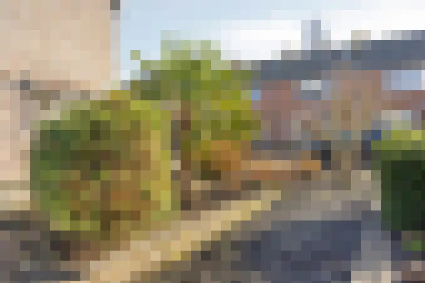 Elzenhof 18 Gouderak thumbnail 35