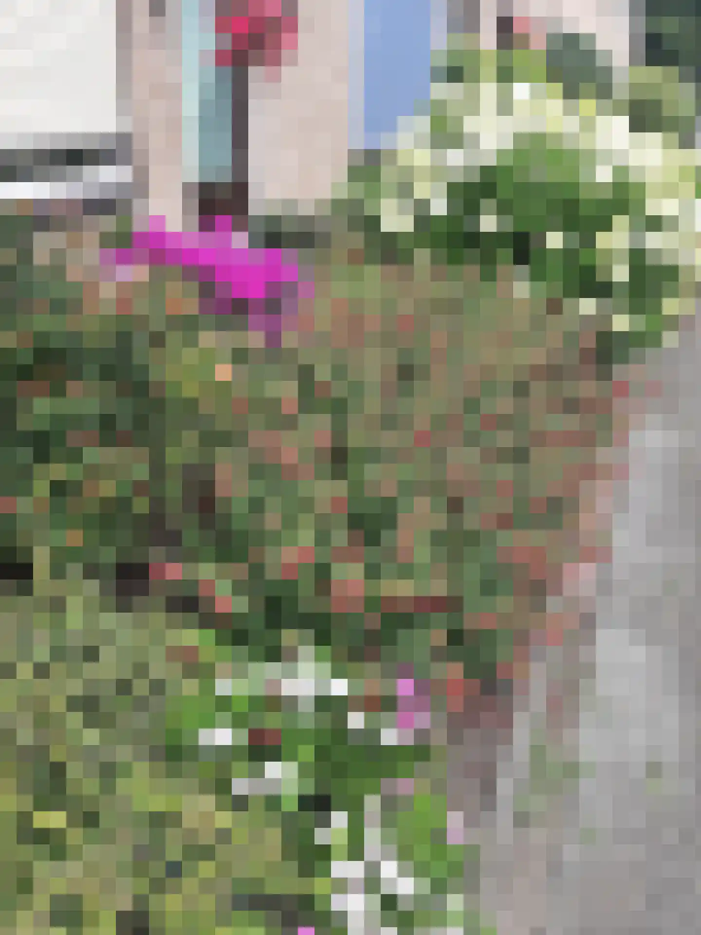 Elzenhof 18 Gouderak thumbnail 36