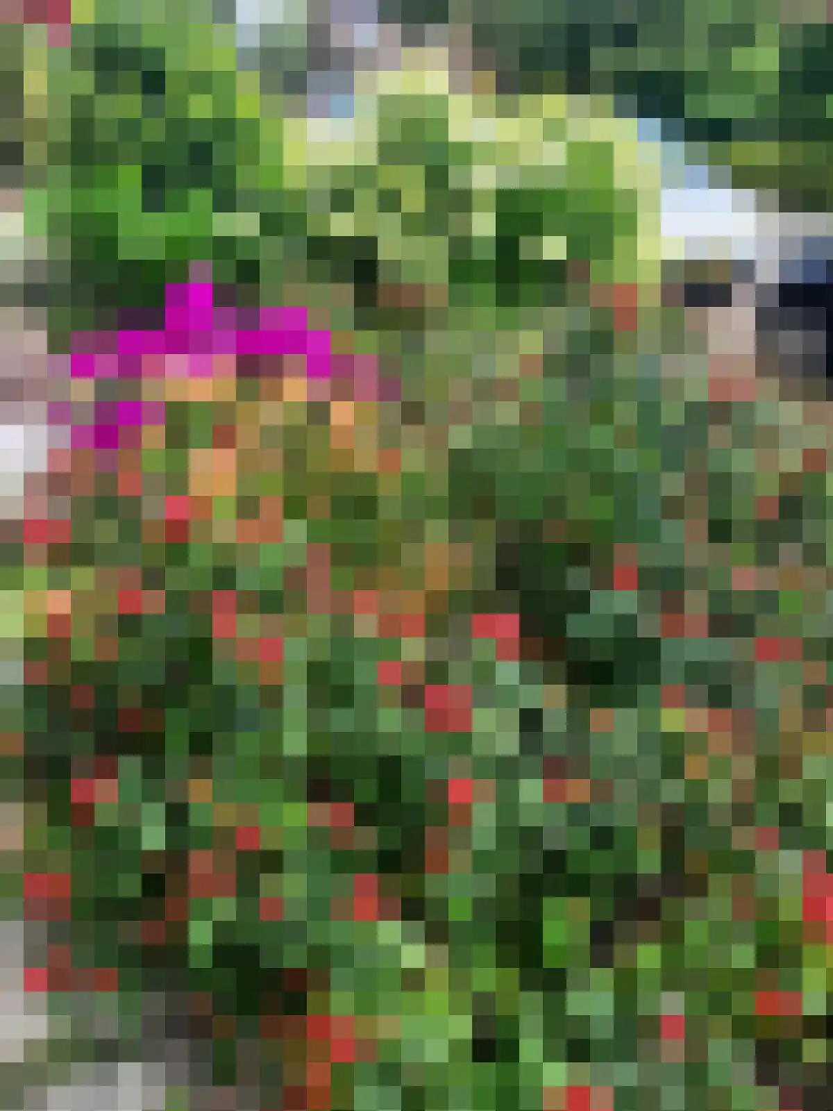Elzenhof 18 Gouderak thumbnail 37