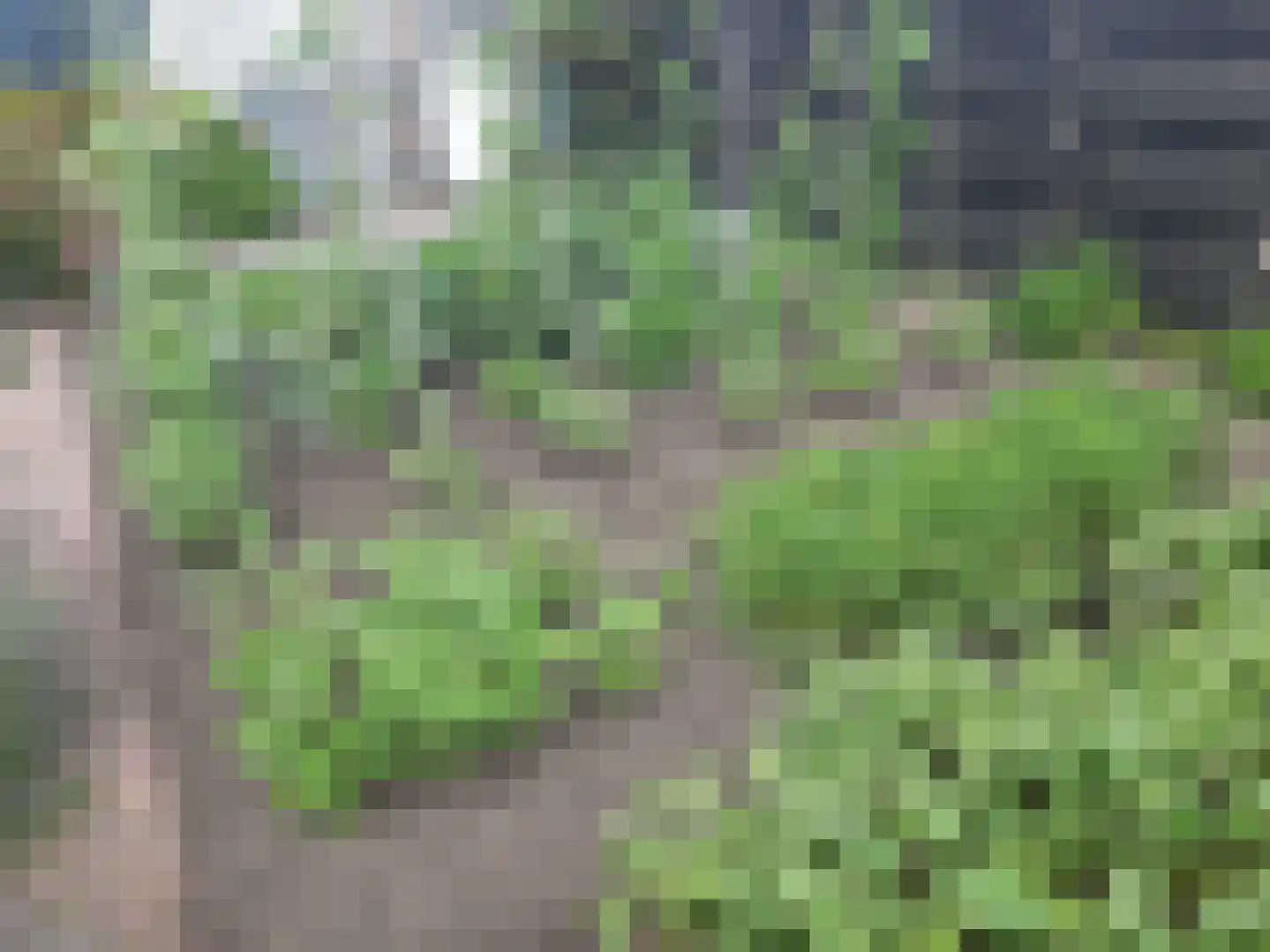 Elzenhof 18 Gouderak thumbnail 38