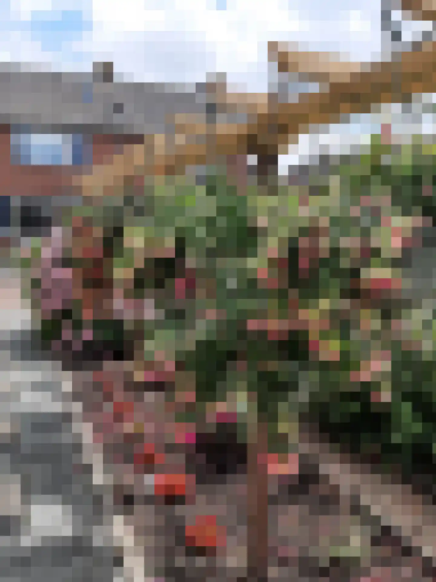 Elzenhof 18 Gouderak thumbnail 39