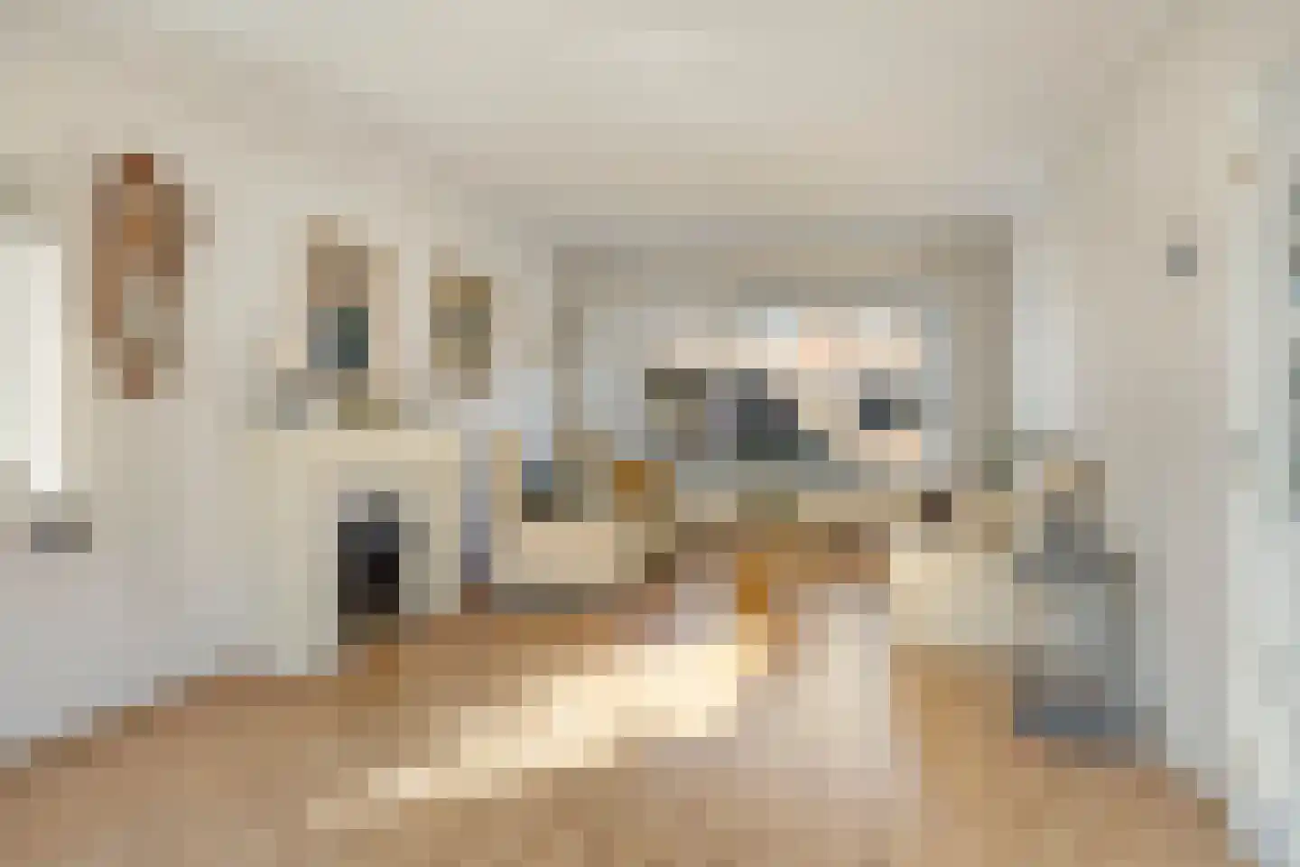 Elzenhof 18 Gouderak thumbnail 8