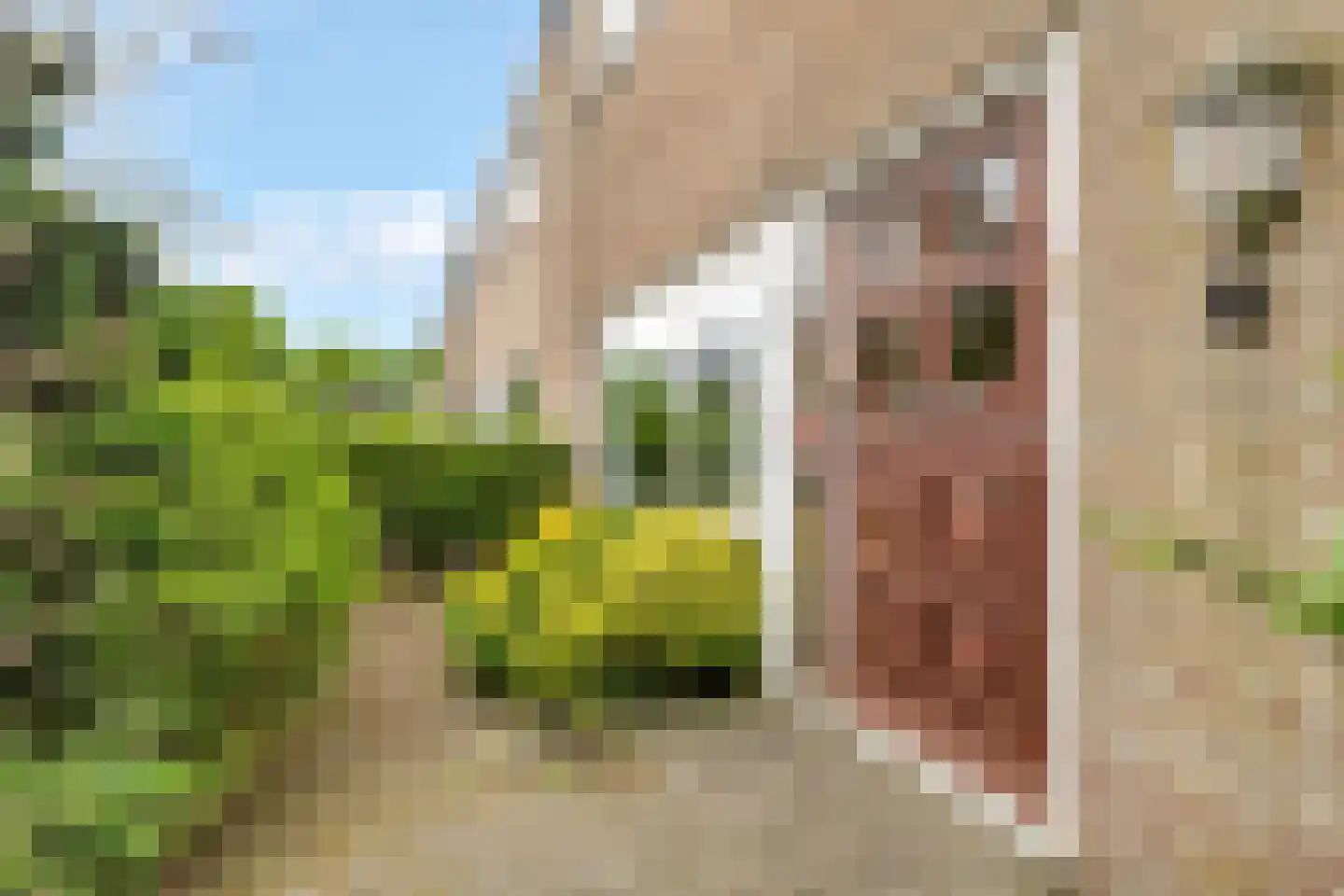 Elzenhof 19 Kortenhoef thumbnail 23