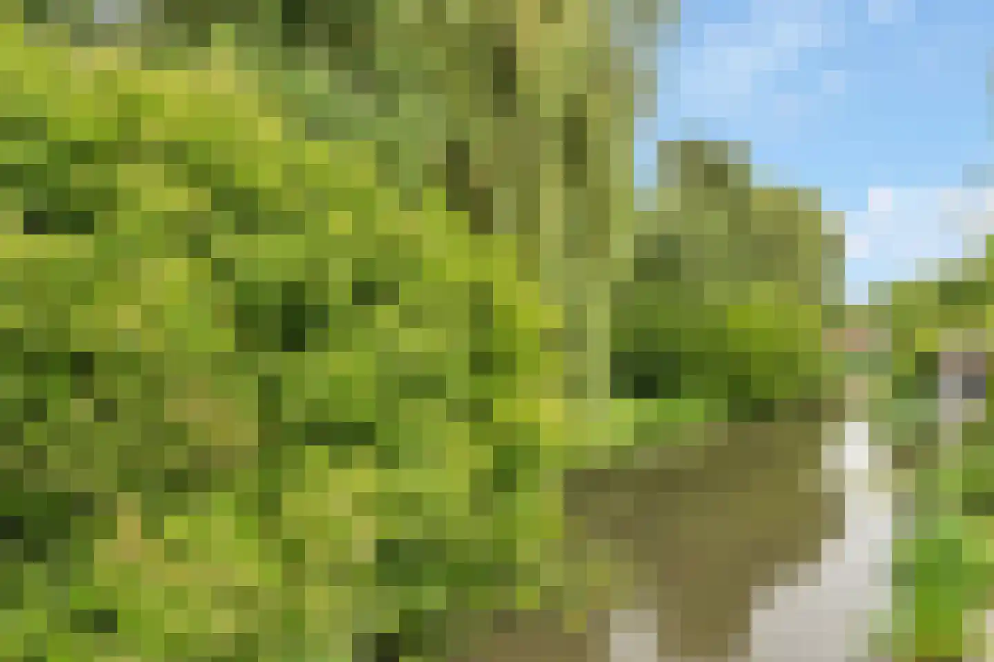 Elzenhof 19 Kortenhoef thumbnail 24