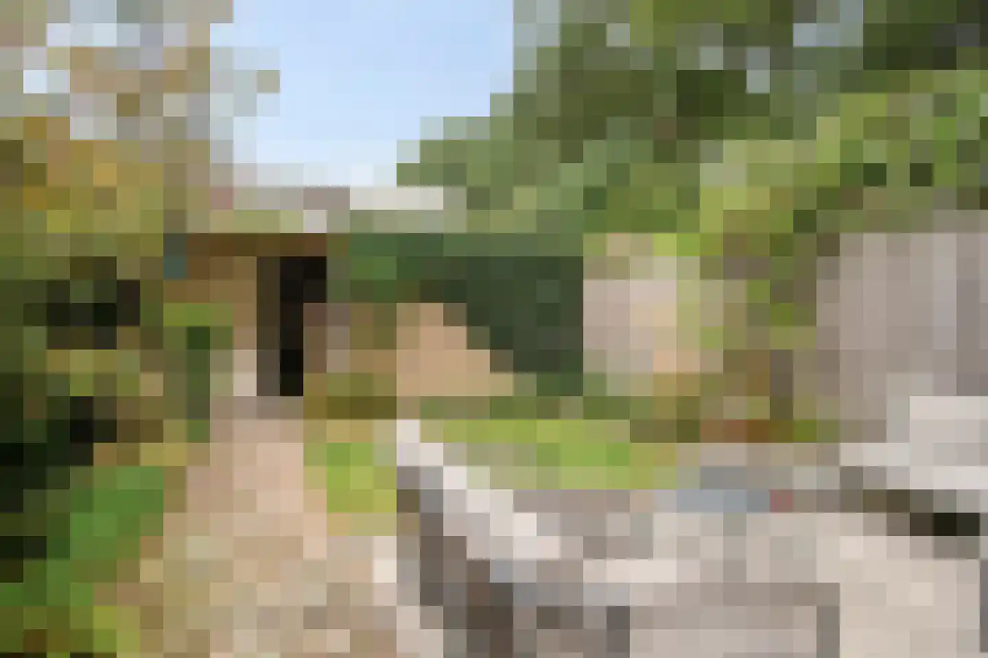 Elzenhof 21 Renswoude thumbnail 39